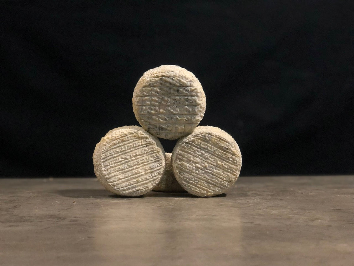 Cendrion de chèvre fermier "CENDRÉE"
