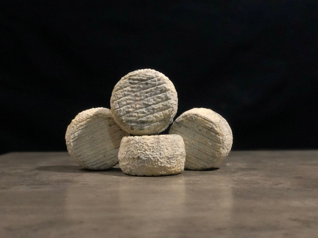 Cendrion de chèvre fermier "CENDRÉE"