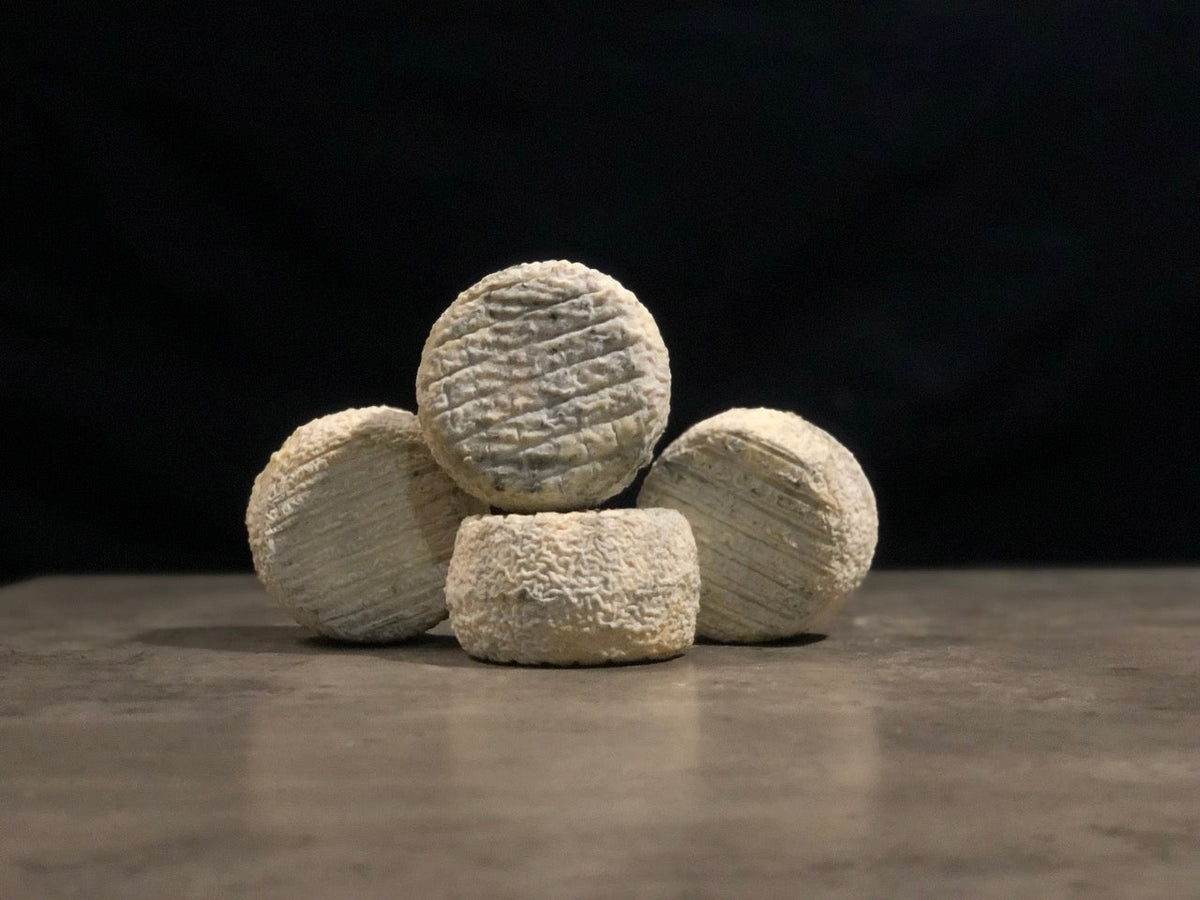 Cendrion de chèvre fermier "CENDRÉE"